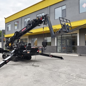 8T蜘蛛叉车吊黑色